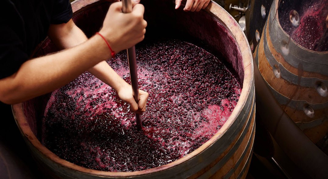 На фото ферментация вина