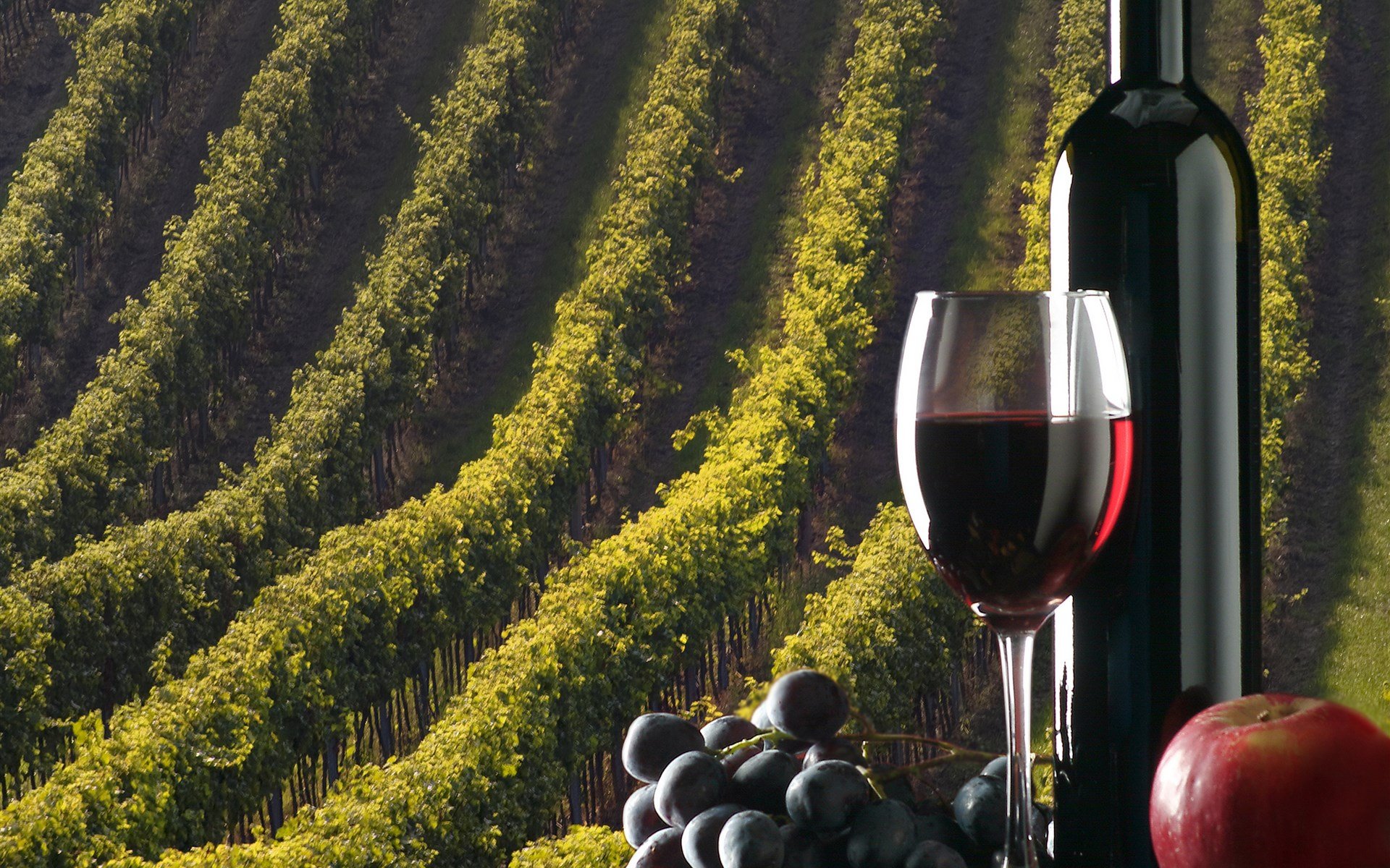 На фото ухоженные виноградные поля, бутылка красного вина и бокал