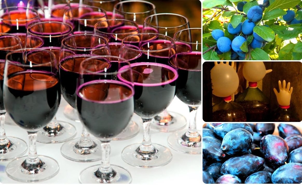 Картинка: процесс производства сливового вина, второе изображение