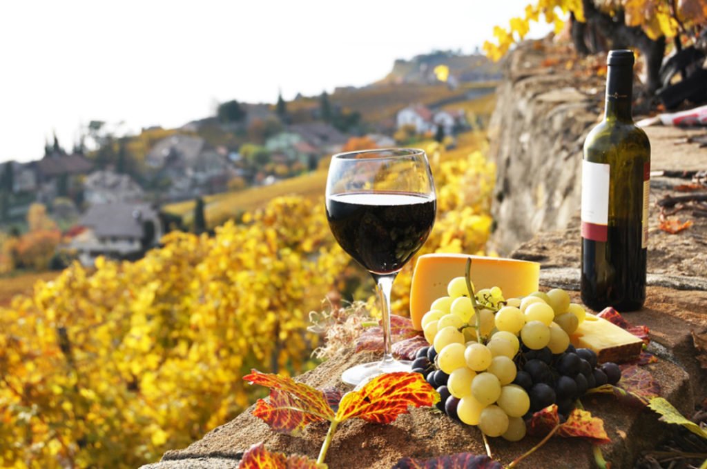 Фотография: бутылка вина с бокалом и виноградом на фоне виноградников, естественно сползающих с горных склон