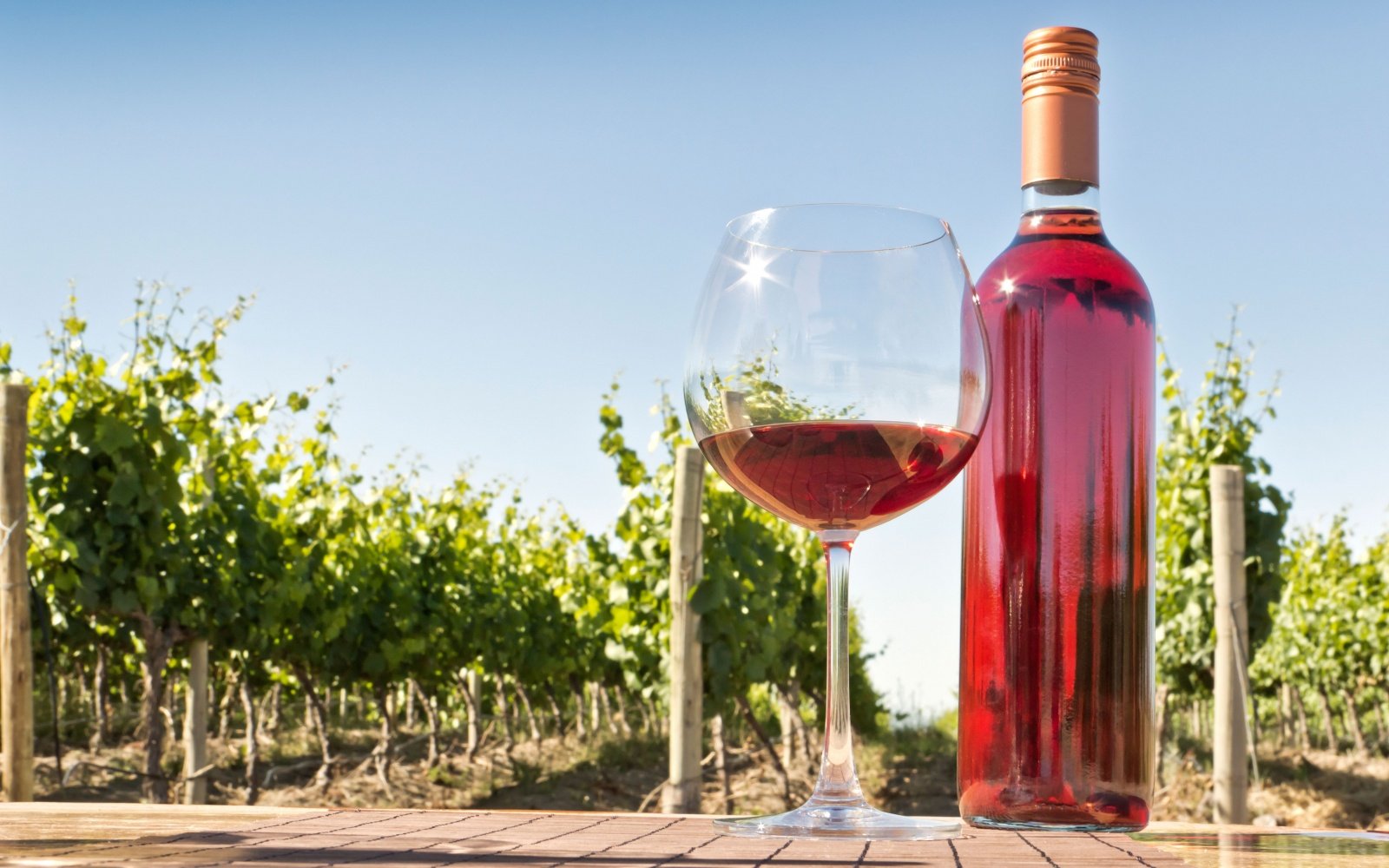 на картинке розовое вино на фоне виноградников