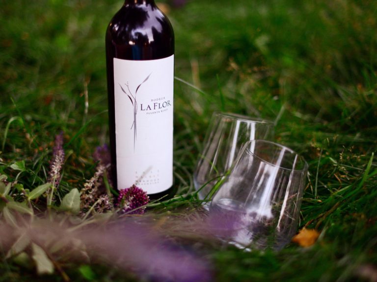 фотография: крепленое вино с двумя бокалами на ковровой траве