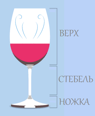 На рисунке показана структура винного бокала