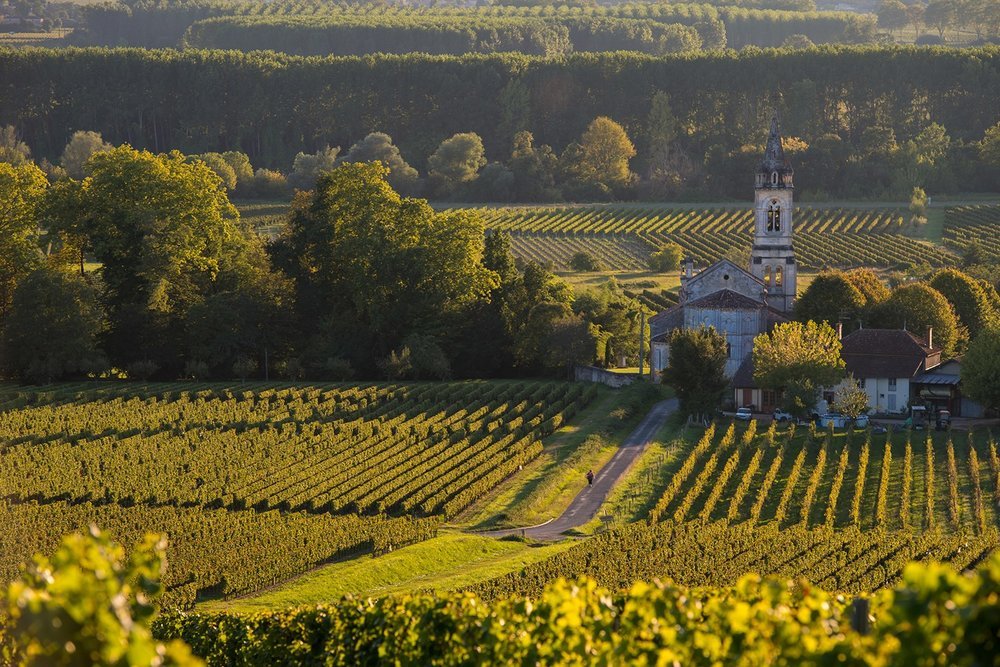 На фото церковные виноградные плантации во Франции