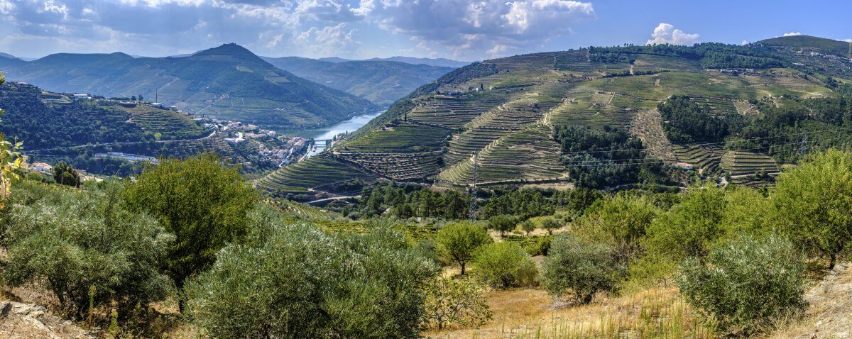 На фото долина реки Дору в Португалии