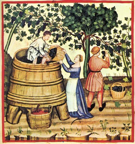 На картинке показан сбор винограда в древности